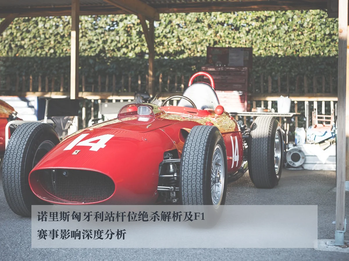 诺里斯匈牙利站杆位绝杀解析及F1赛事影响深度分析