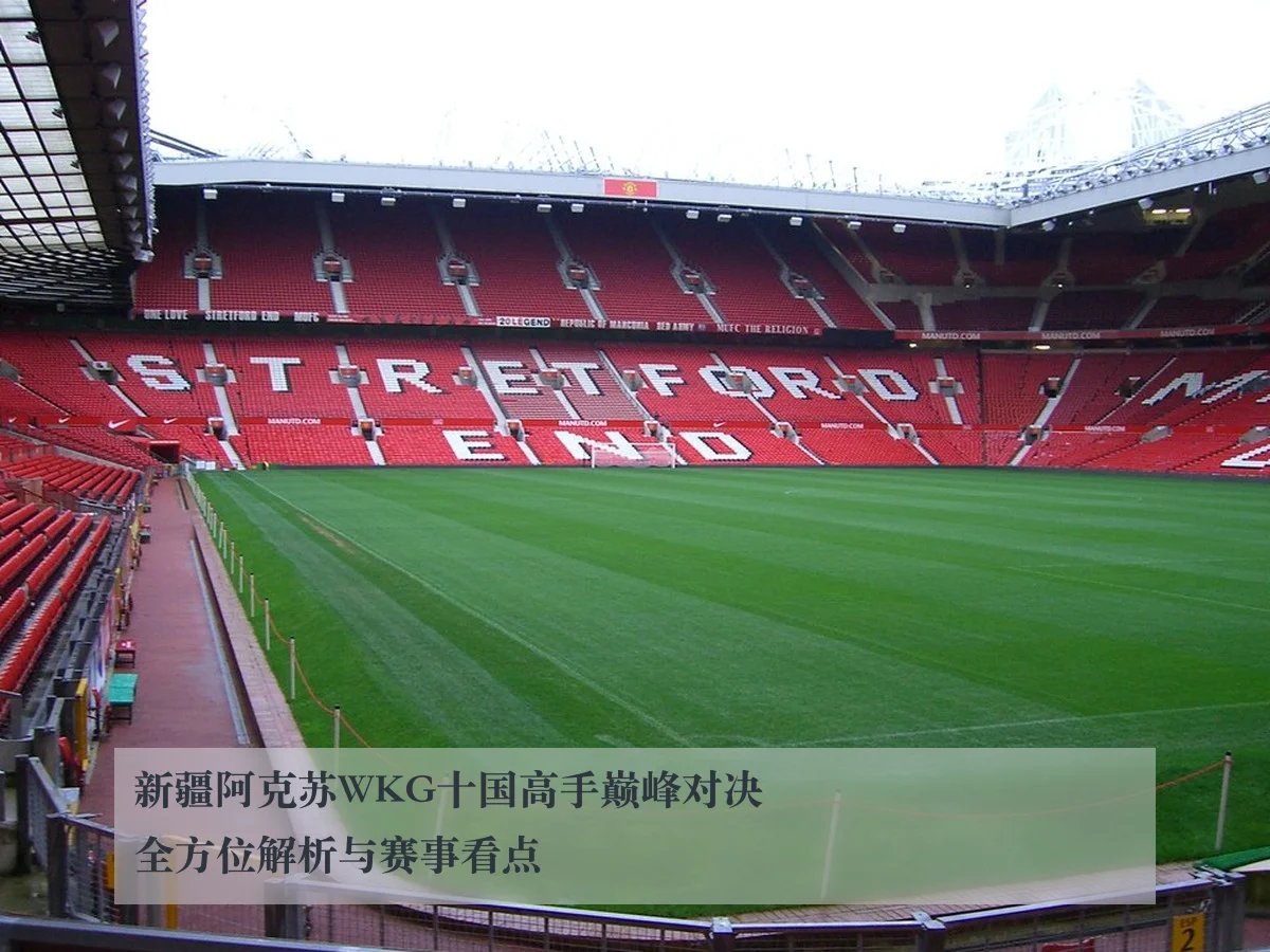 新疆阿克苏WKG十国高手巅峰对决全方位解析与赛事看点